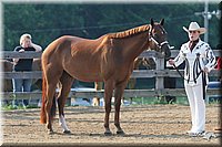 4H-1st-Show-2006-0354.jpg