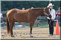 4H-1st-Show-2006-0530.jpg
