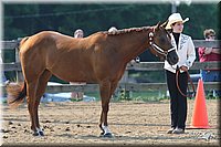 4H-1st-Show-2006-0532.jpg