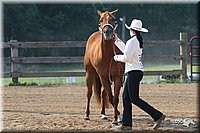 4H-1st-Show-2006-0537.jpg