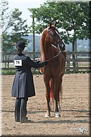 4H-1st-Show-2006-0586.jpg