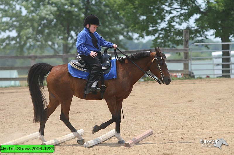 4H-1st-Show-2006-1239.jpg