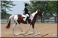 4H-1st-Show-2006-1195.jpg