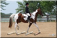 4H-1st-Show-2006-1196.jpg