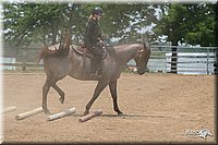 4H-1st-Show-2006-1202.jpg