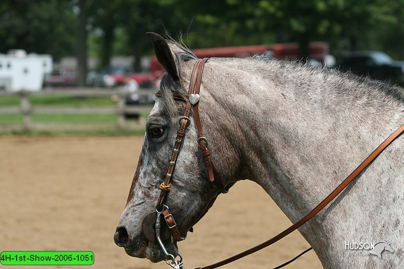 4H-1st-Show-2006-1051.jpg