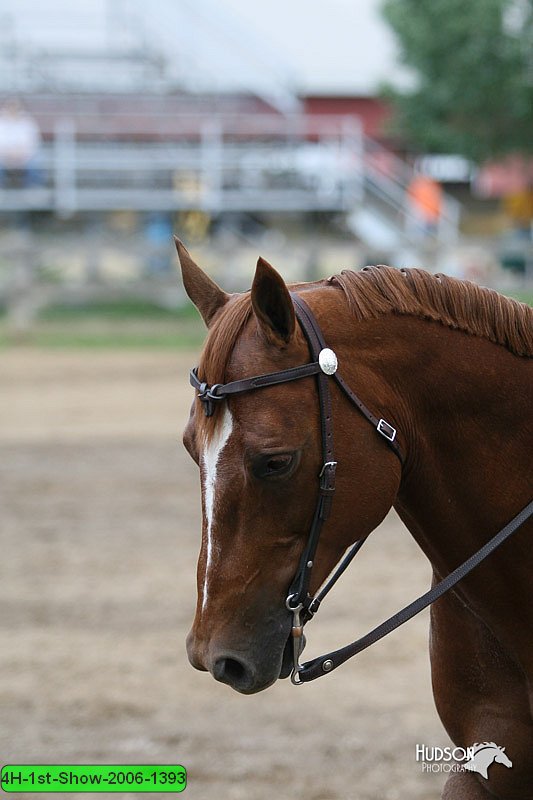 4H-1st-Show-2006-1393.jpg