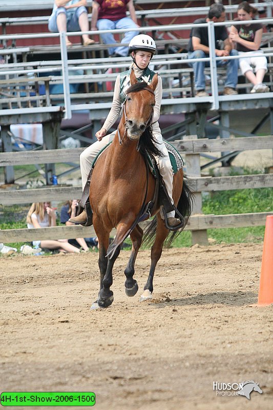 4H-1st-Show-2006-1500.jpg