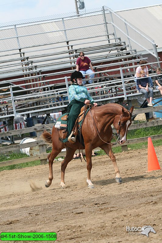 4H-1st-Show-2006-1508.jpg