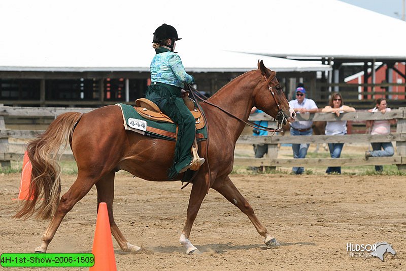 4H-1st-Show-2006-1509.jpg