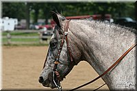4H-1st-Show-2006-1051.jpg