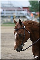4H-1st-Show-2006-1393.jpg