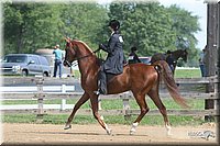 Saddle-Seat