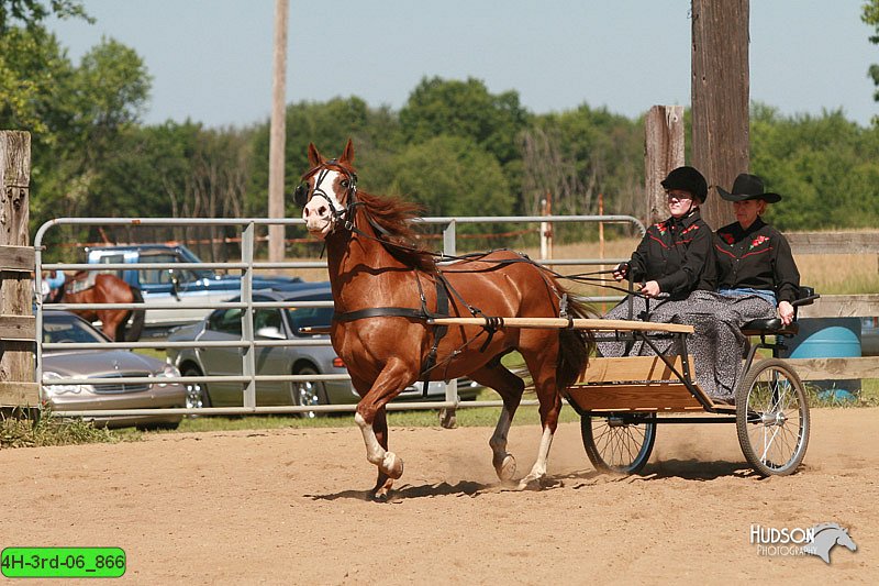 4H-3rd-06_866.jpg