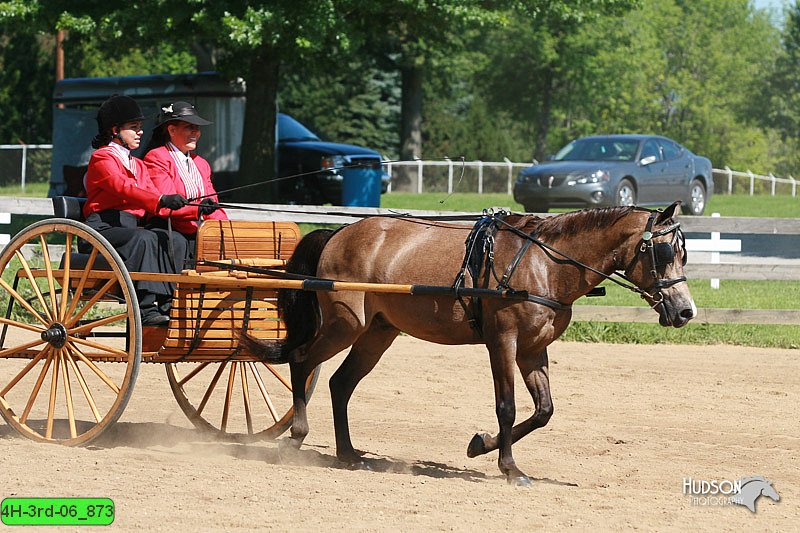 4H-3rd-06_873.jpg