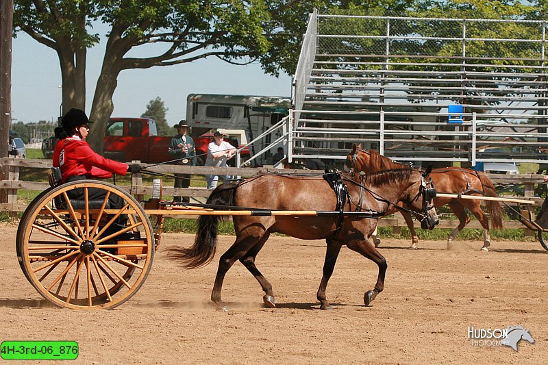 4H-3rd-06_876.jpg