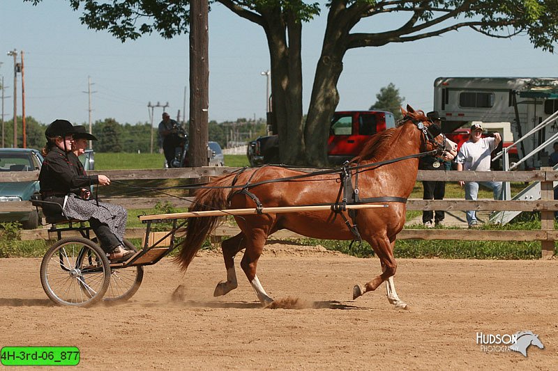 4H-3rd-06_877.jpg