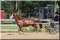 4H-3rd-06_863.jpg