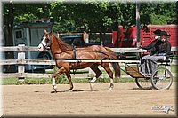4H-3rd-06_864.jpg