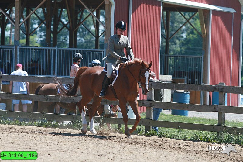 4H-3rd-06_1186.jpg