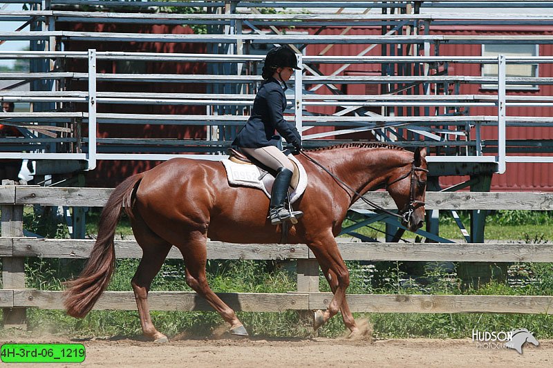 4H-3rd-06_1219.jpg