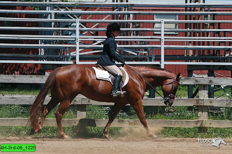 4H-3rd-06_1220.jpg