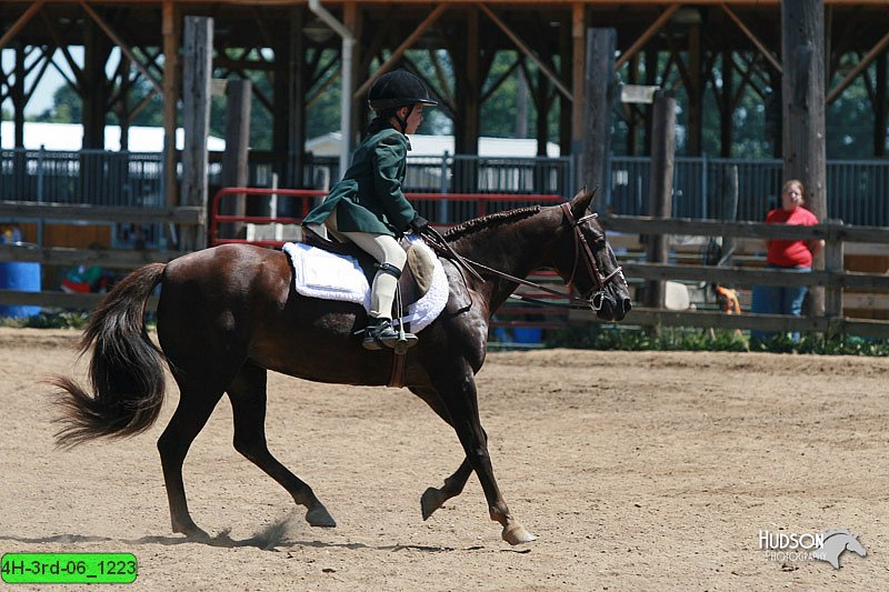 4H-3rd-06_1223.jpg