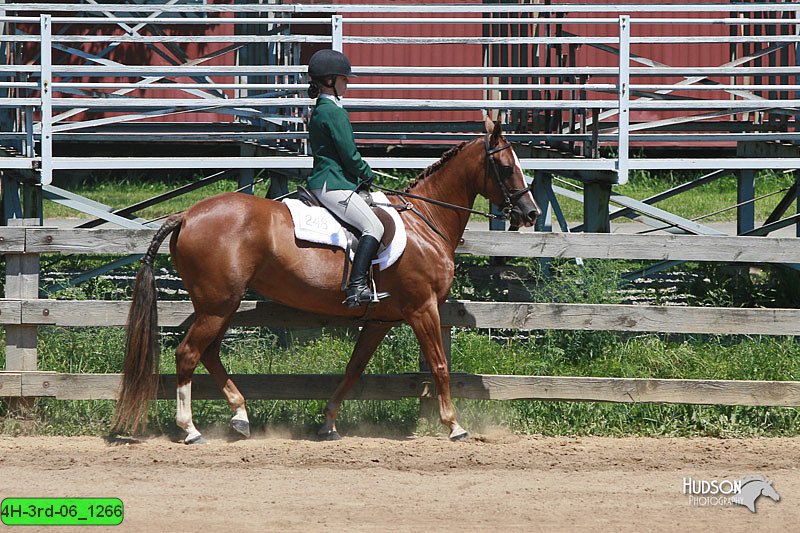 4H-3rd-06_1266.jpg