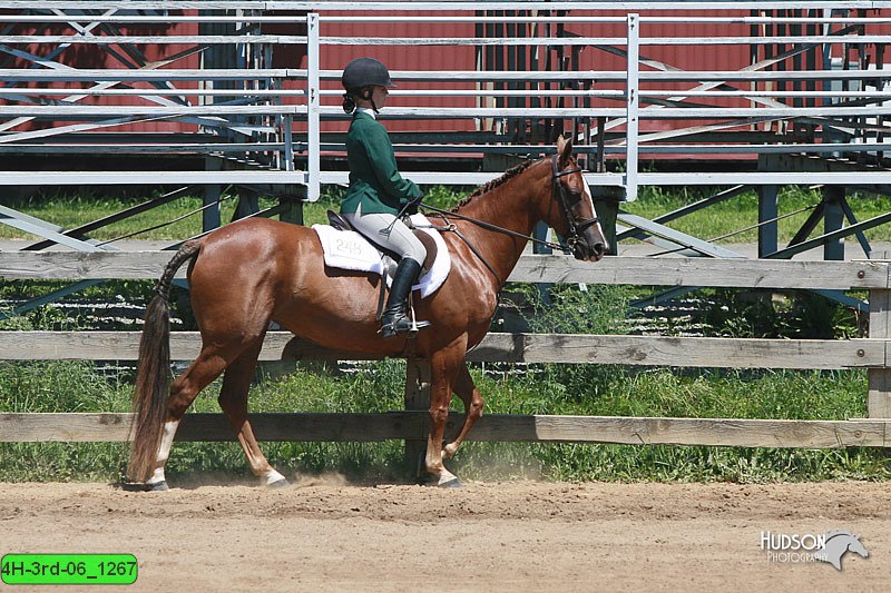4H-3rd-06_1267.jpg