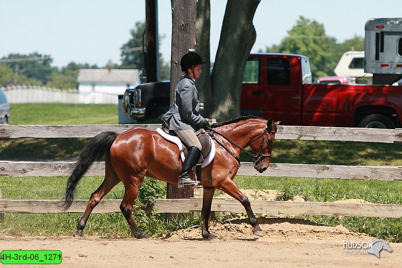 4H-3rd-06_1271.jpg