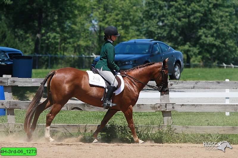 4H-3rd-06_1273.jpg