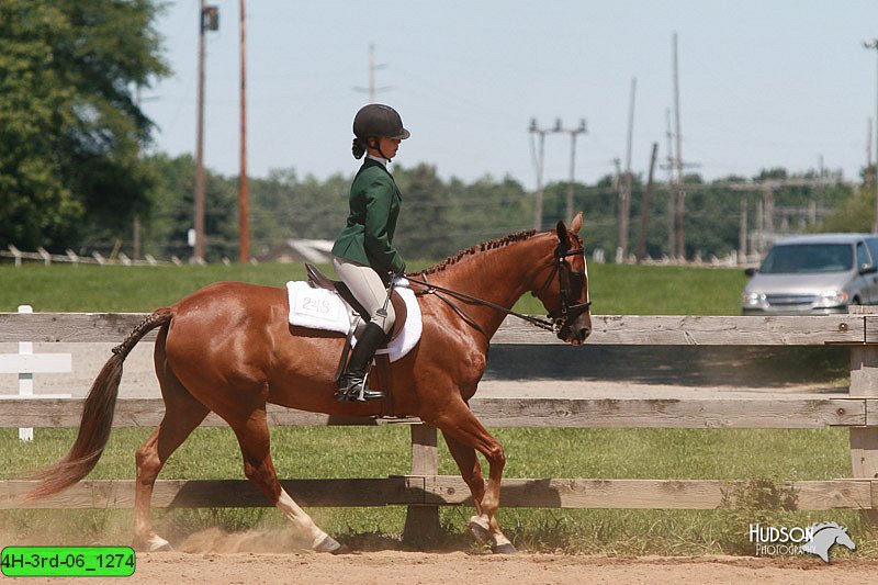 4H-3rd-06_1274.jpg
