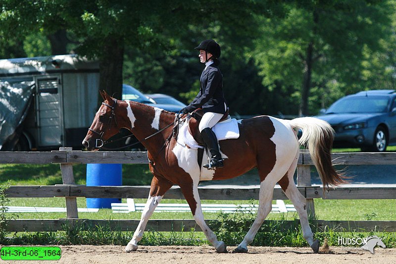 4H-3rd-06_1564.jpg