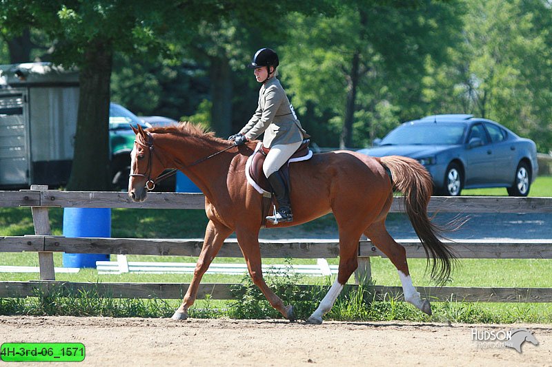 4H-3rd-06_1571.jpg