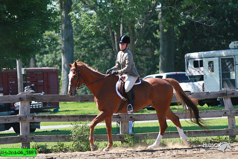 4H-3rd-06_1581.jpg