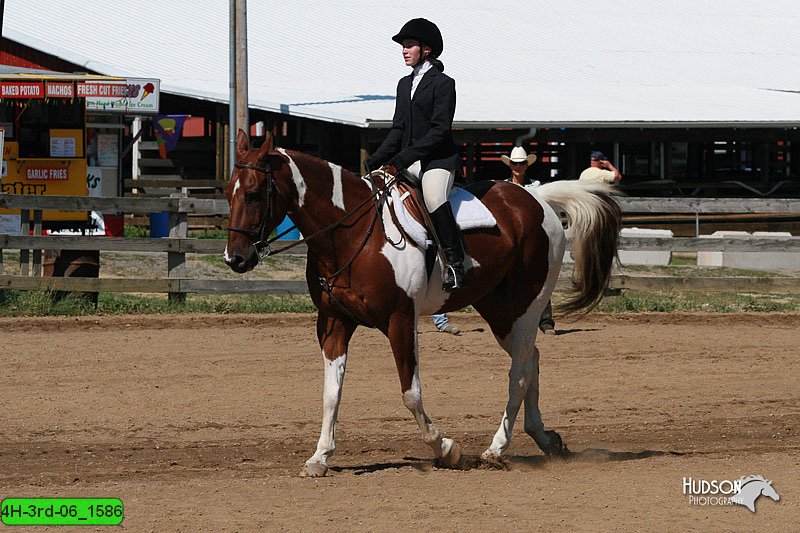 4H-3rd-06_1586.jpg