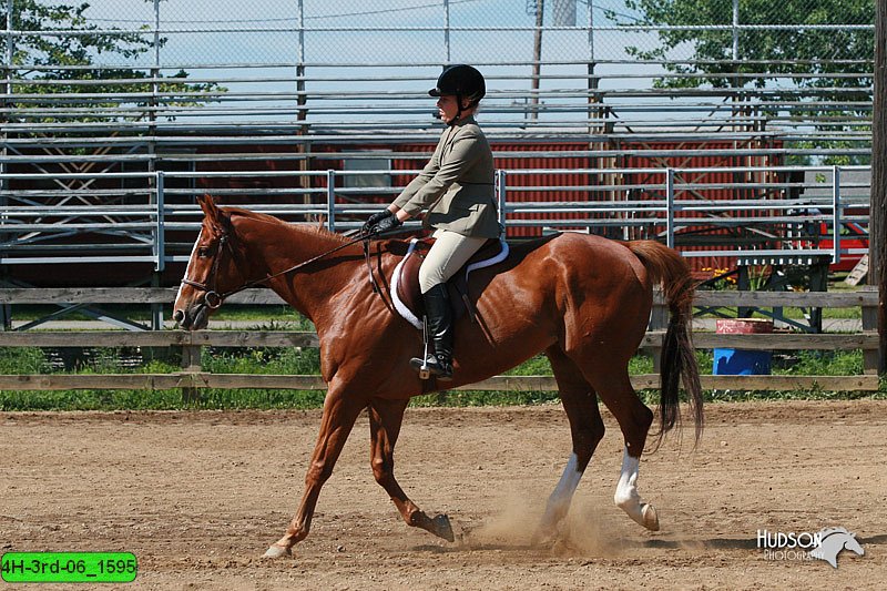 4H-3rd-06_1595.jpg