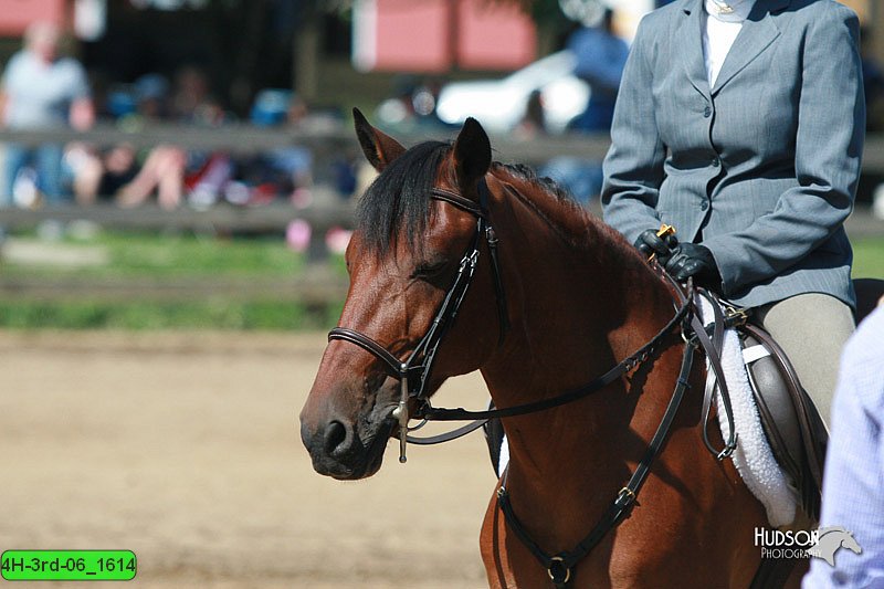4H-3rd-06_1614.jpg