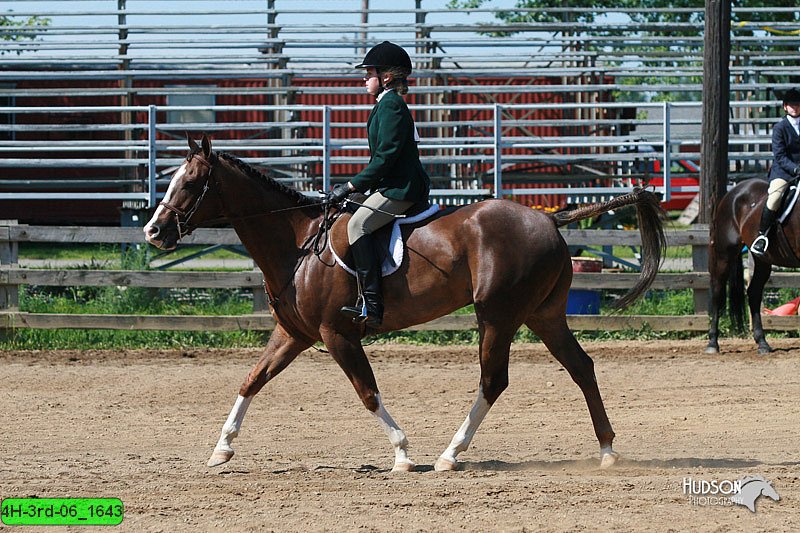 4H-3rd-06_1643.jpg