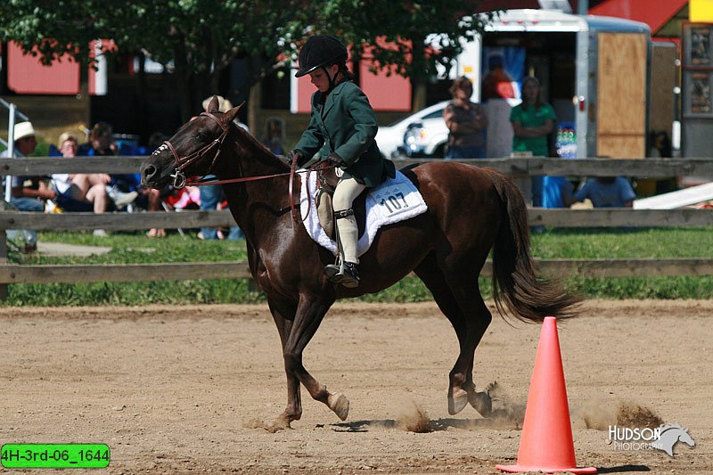 4H-3rd-06_1644.jpg