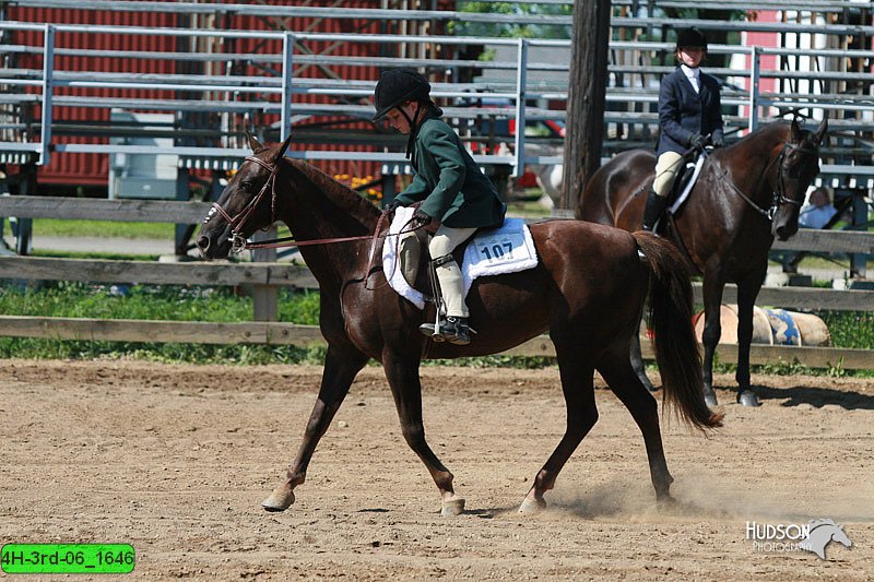 4H-3rd-06_1646.jpg