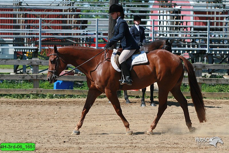 4H-3rd-06_1651.jpg