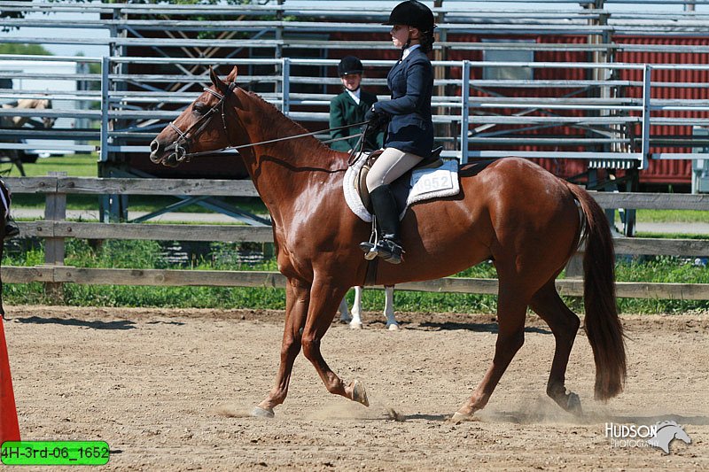 4H-3rd-06_1652.jpg