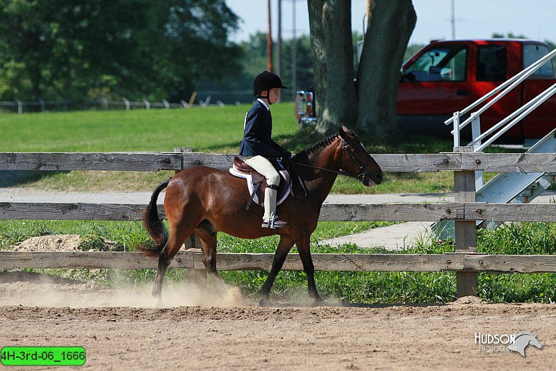 4H-3rd-06_1666.jpg
