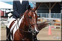 4H-3rd-06_1611.jpg