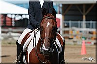 4H-3rd-06_1613.jpg