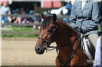 4H-3rd-06_1614.jpg