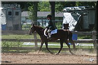4H-3rd-06_1622.jpg