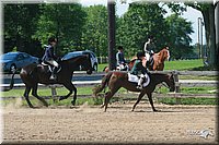 4H-3rd-06_1635.jpg