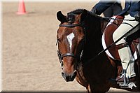 4H-3rd-06_1661.jpg